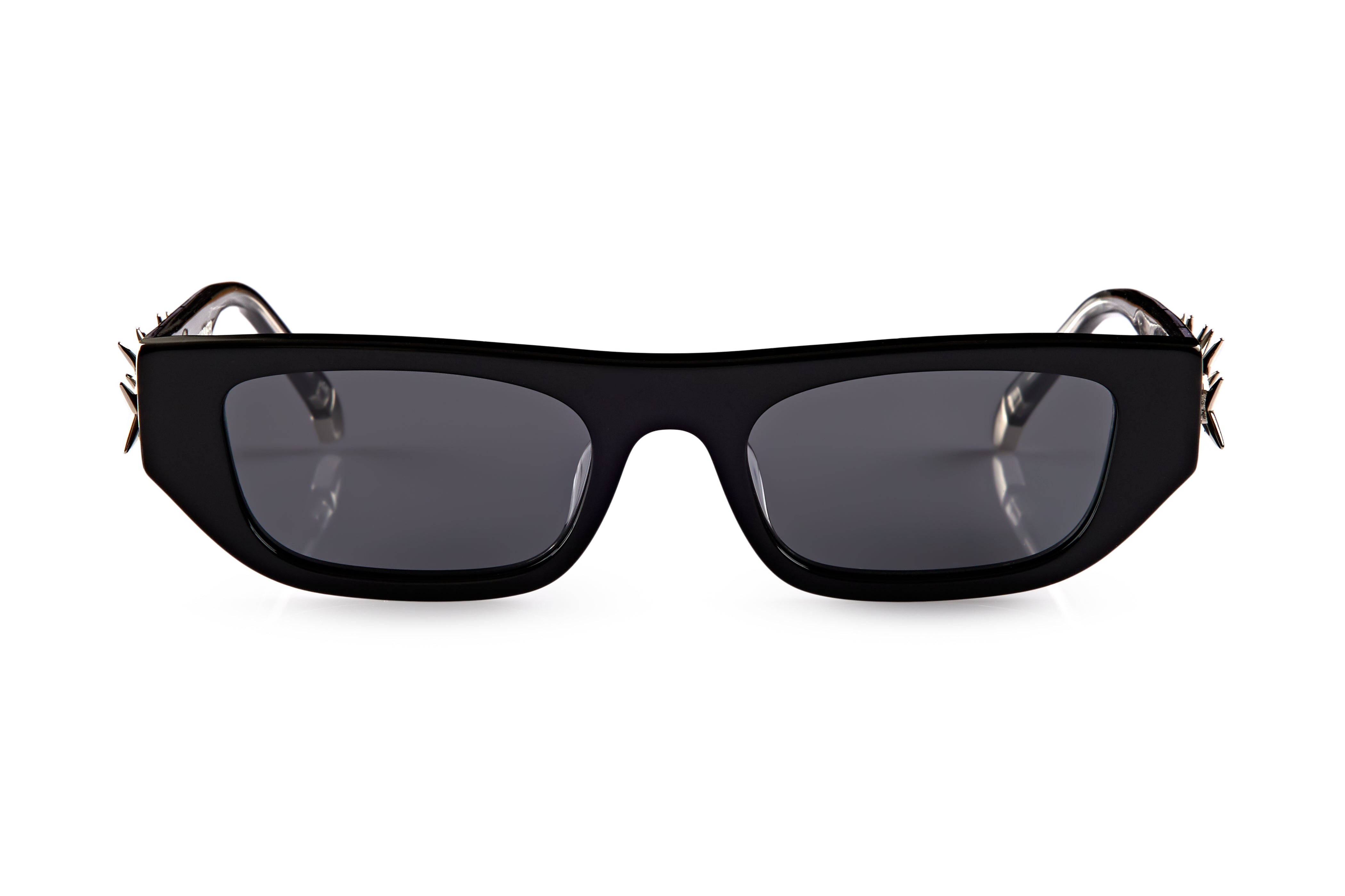 HIROYA - THORNS OF DISCIPLINE