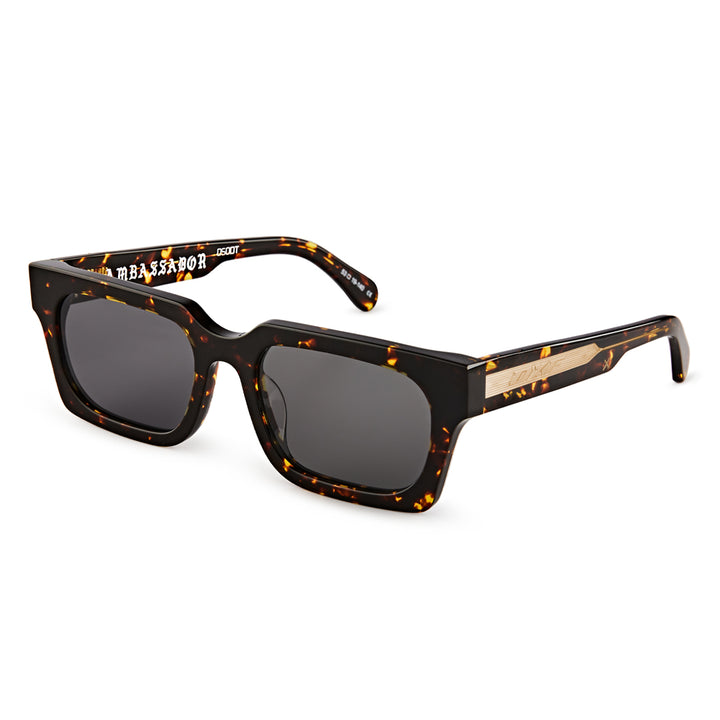 AMBASSADOR/ DARK TORT