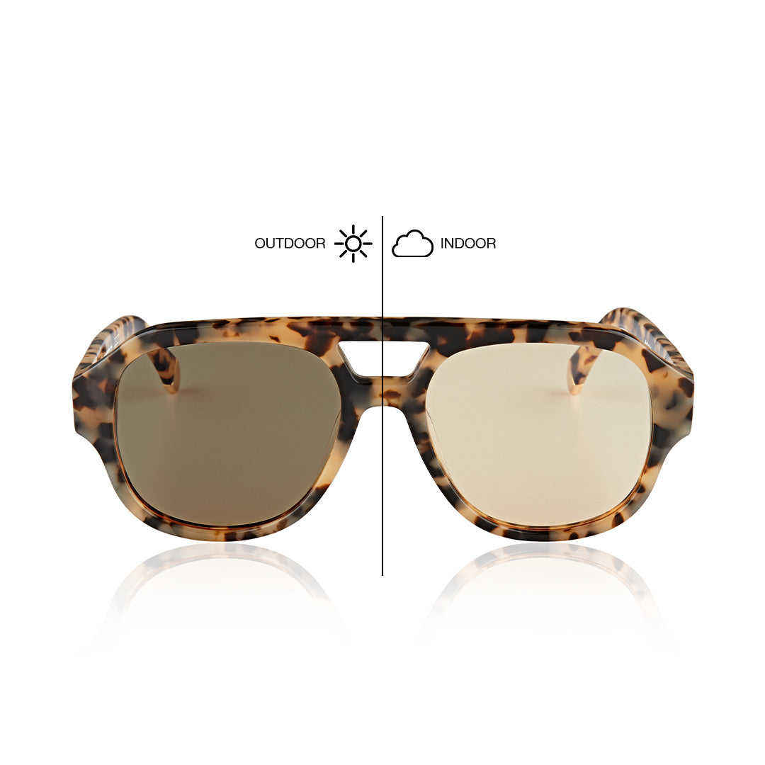 LE STYLE/ COOKIE TORT